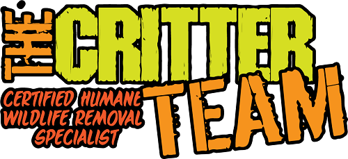 Wildlife Removal Aldine, TX