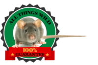 All Things Wild Logo