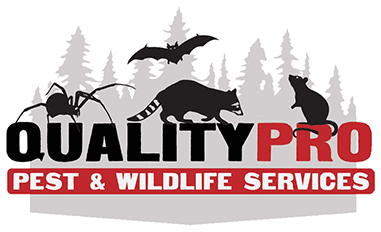 Quality Pro Pest Logo