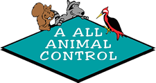 Animal Removal Denver