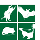 Wildlife Removal Oceanside