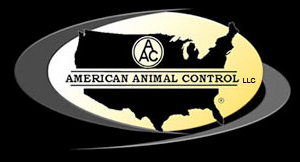 American Animal Control Logo