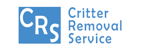 Wildlife removal Freehold, NJ.
