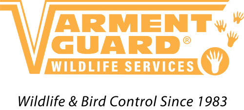Varment Guard Logo