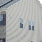 bird proofed home