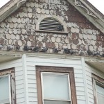 Birds in attic