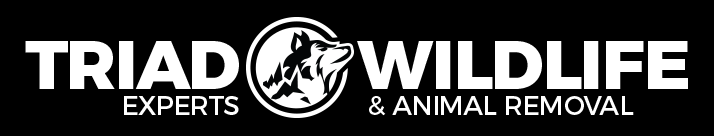 Wildlife Removal Highpoint, NC.