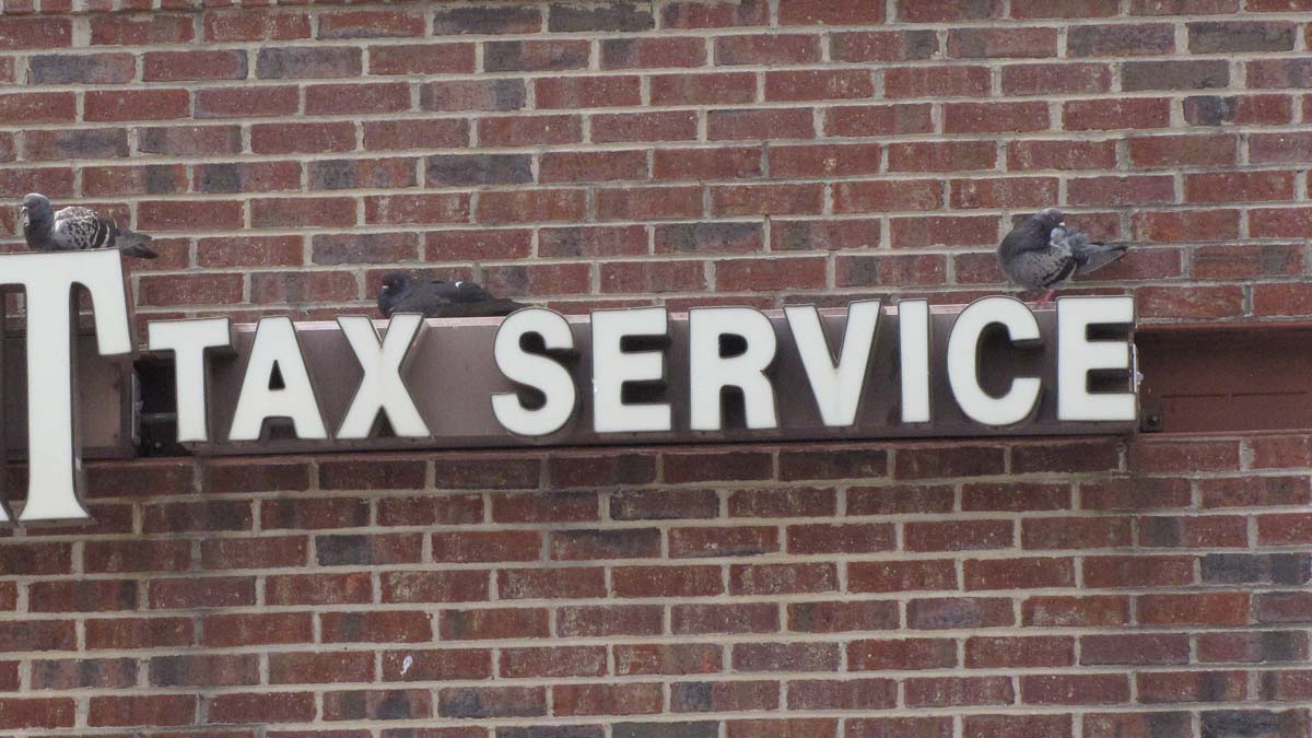 Nuisance Commercial Bird Control Cleveland