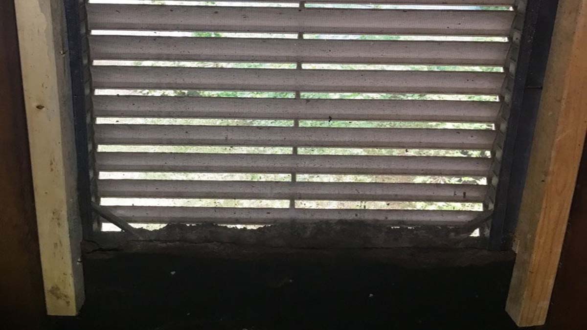 Guano clening, Sanatized and Restored