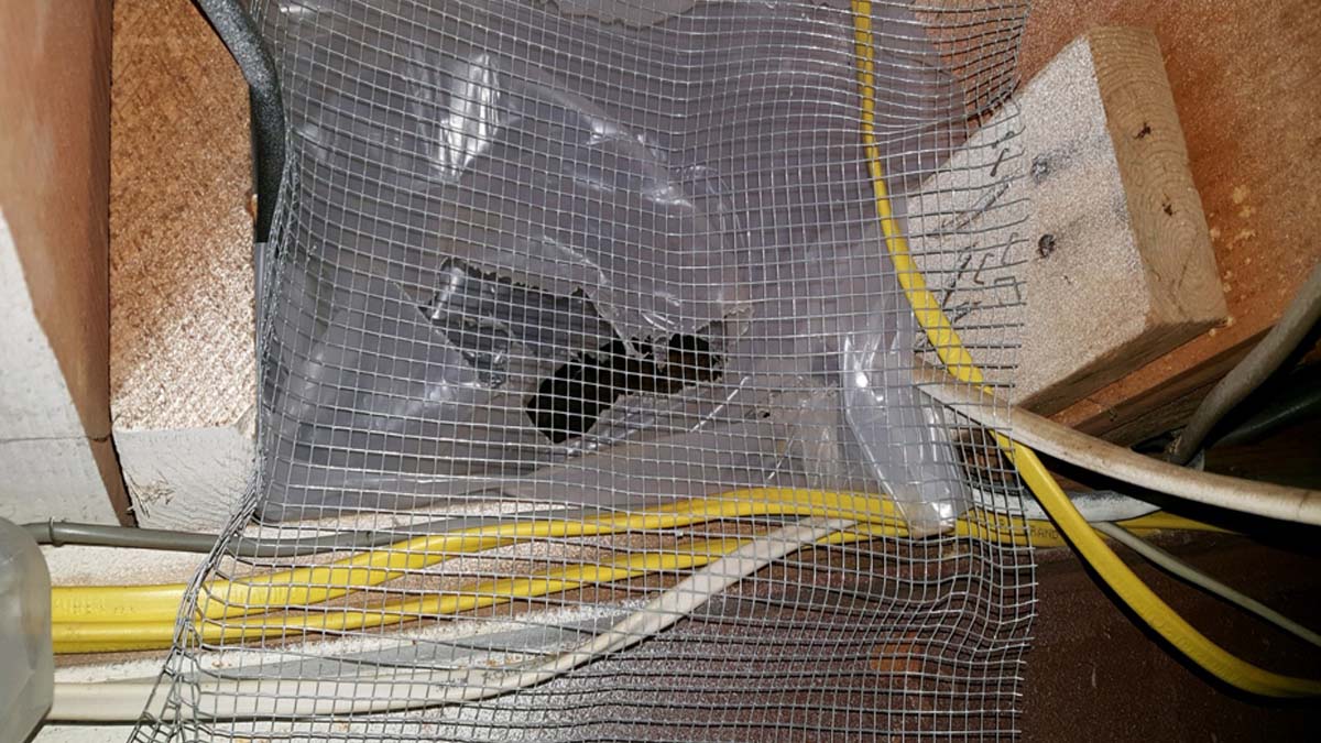 Signs of Wildlife in Attic - Cheing, Droppings and Damage