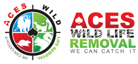 Wildlife Removal Benton, AR