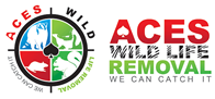 Wildlife Removal Cabot, AR